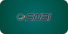 SNAI-review