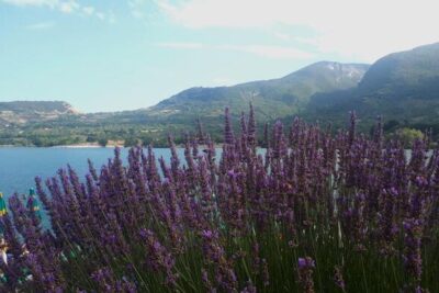 A 102 anni, il Parco d'Abruzzo, Lazio e Molise adotta il suo Piano Notizie